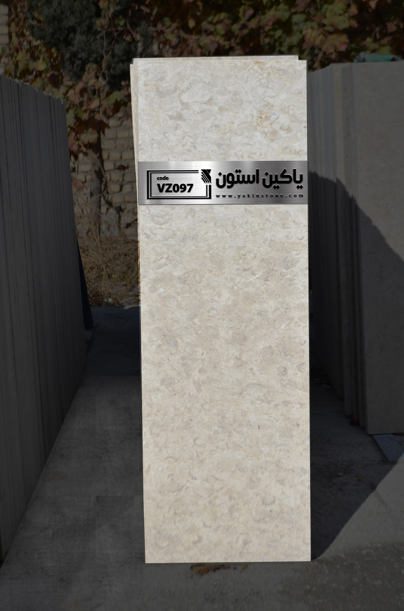 VZ ارسنجان (5)
